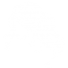 cabelo1.png